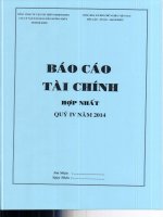 Báo cáo tài chính hợp nhất quý  năm PhanTichBaoCao - Công ty Cổ phần Vận tải Xăng dầu Đường thủy Petrolimex