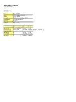 Báo cáo tài chính quý 3 năm 2008 - Tập đoàn Vingroup - Công ty Cổ phần