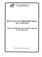 Báo cáo tài chính hợp nhất quý 4 năm 2014 - Công ty Cổ phần Xây lắp và Địa ốc Vũng Tàu