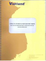Báo cáo tài chính hợp nhất quý 2 năm 2012 (đã kiểm toán) - Công ty Cổ phần Luyện kim Phú Thịnh