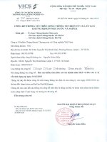 Báo cáo tài chính năm 2015 (đã kiểm toán) - Công ty Cổ phần Chứng khoán Thương mại và Công nghiệp Việt Nam