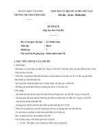 KẾ HOẠCH DẠY THEO CHỦ ĐỀ