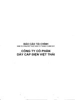 Báo cáo tài chính năm 2011 (đã kiểm toán) - Công ty Cổ phần Dây cáp điện Việt Thái
