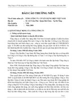 Báo cáo thường niên năm 2008 - Tổng công ty Cổ phần Xây dựng điện Việt Nam