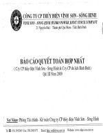 Báo cáo tài chính hợp nhất quý 3 năm 2009 - Công ty Cổ phần Thủy điện Vĩnh Sơn - Sông Hinh