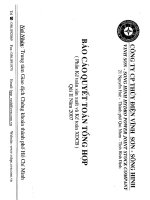 Báo cáo tài chính công ty mẹ quý 2 năm 2007 - Công ty Cổ phần Thủy điện Vĩnh Sơn - Sông Hinh