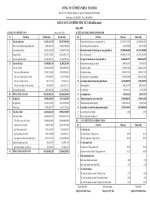 Báo cáo tài chính năm 2007 - Công ty Cổ phần Nhựa Tân Hóa