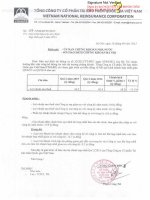 Báo cáo tài chính hợp nhất quý 2 năm 2015 - Tổng Công ty Cổ phần Tái bảo hiểm quốc gia Việt Nam