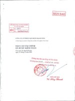 Báo cáo tài chính công ty mẹ năm 2010 (đã kiểm toán) - Công ty Cổ phần Tập đoàn Đại Dương