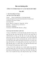 Báo cáo thường niên năm 2007 - Công ty Cổ phần Đầu tư và Xây dựng Bưu điện