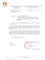 Nghị quyết đại hội cổ đông ngày 12-3-2010 - Tập đoàn Vingroup - Công ty Cổ phần