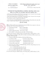 Nghị quyết đại hội cổ đông ngày 25-04-2009 - Công ty Cổ phần Truyền thông số 1