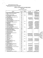 Báo cáo tài chính hợp nhất quý 2 năm 2009 - Tổng Công ty Cổ phần Khoan và Dịch vụ Khoan Dầu khí
