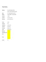 Báo cáo tài chính năm 2008 - Công ty Cổ phần Chứng khoán Việt Quốc