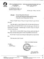 Nghị quyết đại hội cổ đông ngày 13-6-2011 - Tập đoàn Vingroup - Công ty Cổ phần