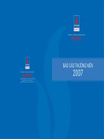 Báo cáo thường niên năm 2007 - Tổng Công ty Cổ phần Dịch vụ Tổng hợp Dầu khí
