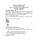 SOẠN bài CHUYÊN đề VNE1