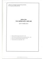 Báo cáo tài chính công ty mẹ quý 4 năm 2010 - Công ty Cổ phần Tập đoàn Đại Dương