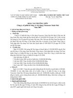 Báo cáo thường niên năm 2007 - Công ty cổ phần Bê tông và Xây dựng Vinaconex Xuân Mai