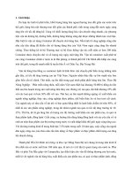 phát triển vận tải hàng hóa bằng container