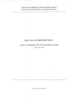 Báo cáo tài chính hợp nhất quý 1 năm 2010 - Công ty Cổ phần Bất động sản Du lịch Ninh Vân Bay
