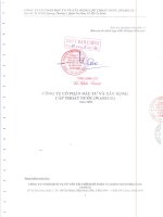 Báo cáo tài chính hợp nhất năm 2009 (đã kiểm toán) - Công ty Cổ phần Đầu tư và Xây dựng Cấp thoát nước