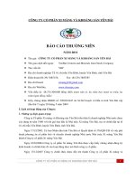 Báo cáo thường niên năm 2011 - Công ty Cổ phần Xi măng và Khoáng sản Yên Bái