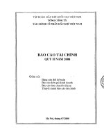 Báo cáo tài chính quý 2 năm 2008 - Tổng Công ty Tài chính Cổ phần Dầu khí Việt Nam