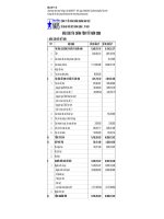 Báo cáo tài chính năm 2008 - Công ty Cổ phần Chứng khoán VIT