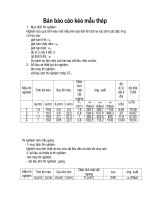Bản báo cáo kéo mẫu thép 