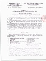 Nghị quyết Đại hội cổ đông bất thường - Công ty Cổ phần Cảng dịch vụ Dầu khí Đình Vũ