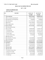 Báo cáo tài chính quý 3 năm 2009 - Công ty Cổ phần Thiết bị Bưu điện