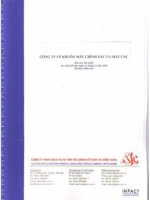 Báo cáo tài chính năm 2008 (đã kiểm toán) - Công ty cổ phần Sản xuất, Thương mại và Dịch vụ ôtô PTM