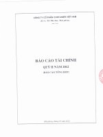 Báo cáo tài chính tổng hợp quý 2 năm 2012 - Công ty cổ phần Tập đoàn Container Việt Nam