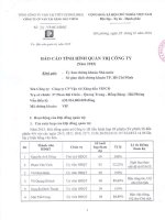 Báo cáo tình hình quản trị công ty - Công ty Cổ phần Vận tải Xăng dầu VIPCO