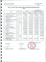 Báo cáo tài chính hợp nhất quý 4 năm 2009 - Công ty Cổ phần Nhựa Tân Hóa