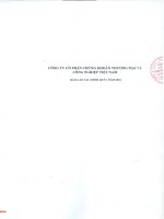 Báo cáo tài chính quý 1 năm 2016 - Công ty Cổ phần Chứng khoán Thương mại và Công nghiệp Việt Nam