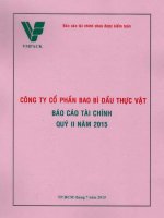 Báo cáo tài chính quý 2 năm 2015 - Công ty Cổ phần Bao bì dầu thực vật