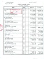 Báo cáo tài chính quý 1 năm 2012 - Công ty Cổ phần Thép Việt Ý