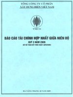 Báo cáo tài chính hợp nhất quý 3 năm 2009 - Tổng công ty Cổ phần Xây dựng điện Việt Nam