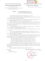 Báo cáo tài chính công ty mẹ quý 1 năm 2014 trong giai đoạn chuyển đổi - Công ty Cổ phần Vang Thăng Long