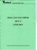 Báo cáo tài chính công ty mẹ quý 4 năm 2013 - Công ty cổ phần Đầu tư Bất động sản Việt Nam