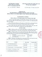 Nghị quyết đại hội cổ đông ngày 29-04-2009 - Tổng Công ty Cổ phần Dịch vụ Kỹ thuật Dầu khí Việt Nam