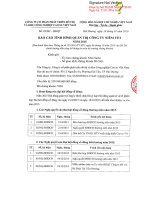 Báo cáo tình hình quản trị công ty - CTCP Phát triển đô thị và Khu công nghiệp Cao su Việt Nam