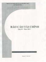 Báo cáo tài chính quý 2 năm 2013 - Công ty cổ phần Vận tải đa phương thức