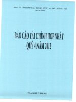 Báo cáo tài chính hợp nhất quý 4 năm 2012 - Công ty Cổ phần Đầu tư Hạ tầng và Đô thị Dầu khí PVC