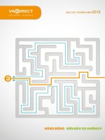 Báo cáo thường niên năm 2012 - Công ty cổ phần Chứng khoán VNDIRECT