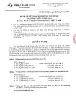 Nghị quyết Đại hội cổ đông thường niên - Công ty Cổ phần Ánh Dương Việt Nam