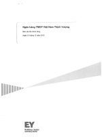 Báo cáo tài chính công ty mẹ năm 2015 (đã kiểm toán) - Ngân hàng Thương mại Cổ phần Việt Nam Thịnh Vượng