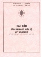 Báo cáo tài chính công ty mẹ quý 3 năm 2010 - Tổng công ty Cổ phần Xây dựng điện Việt Nam